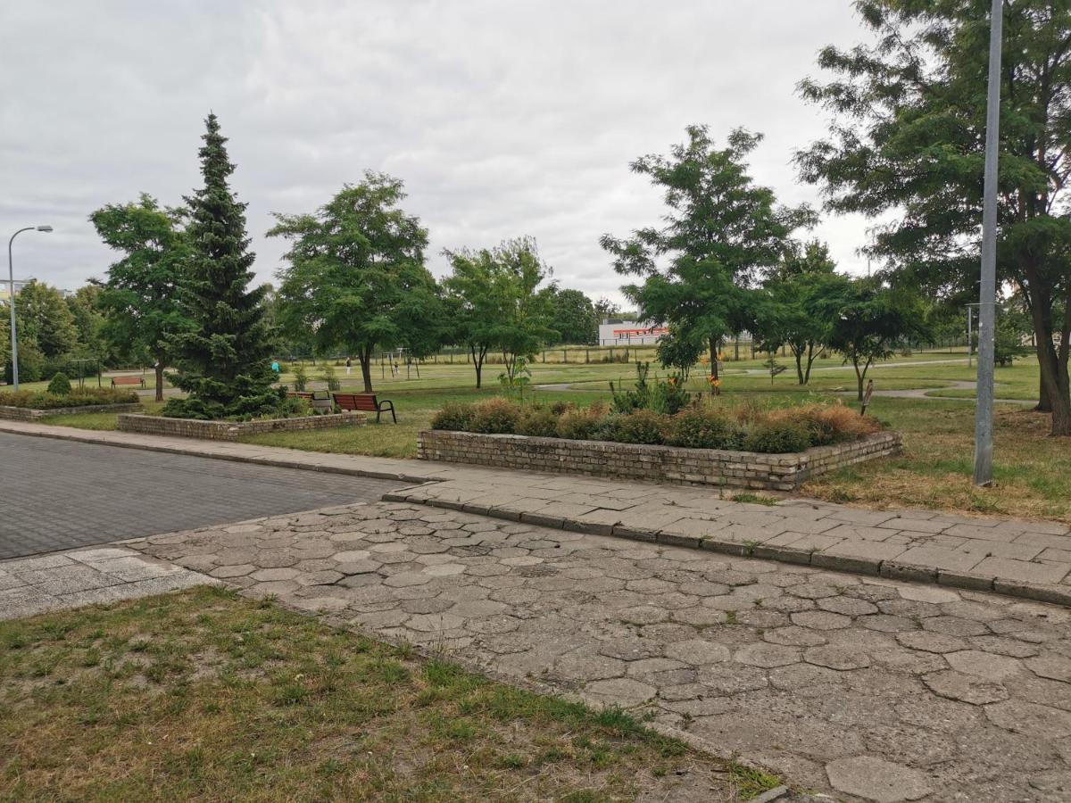 Apartament Wiewiorka Lägenhet Gdańsk Exteriör bild