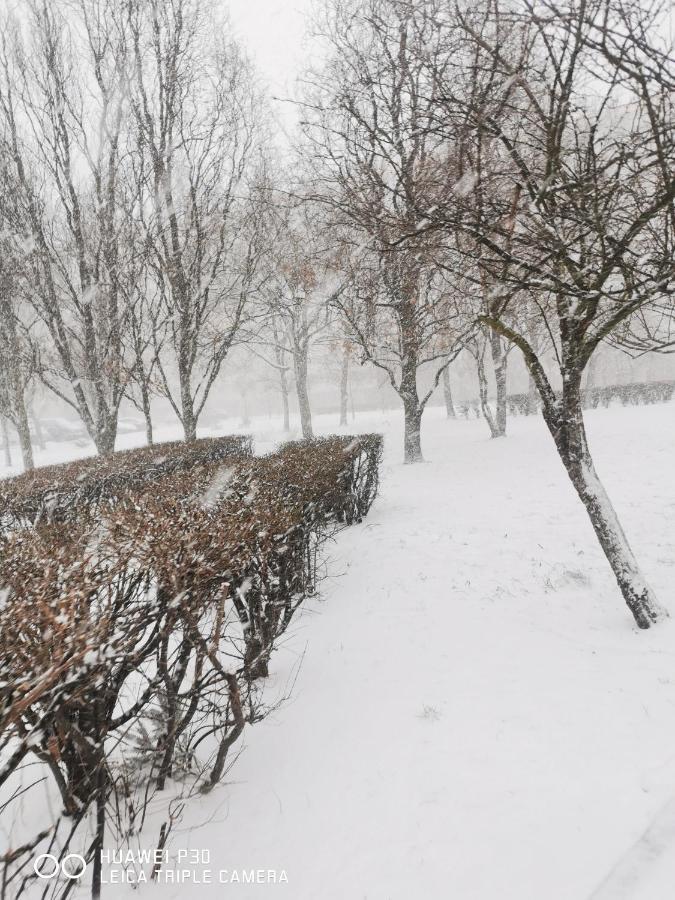 Apartament Wiewiorka Lägenhet Gdańsk Exteriör bild