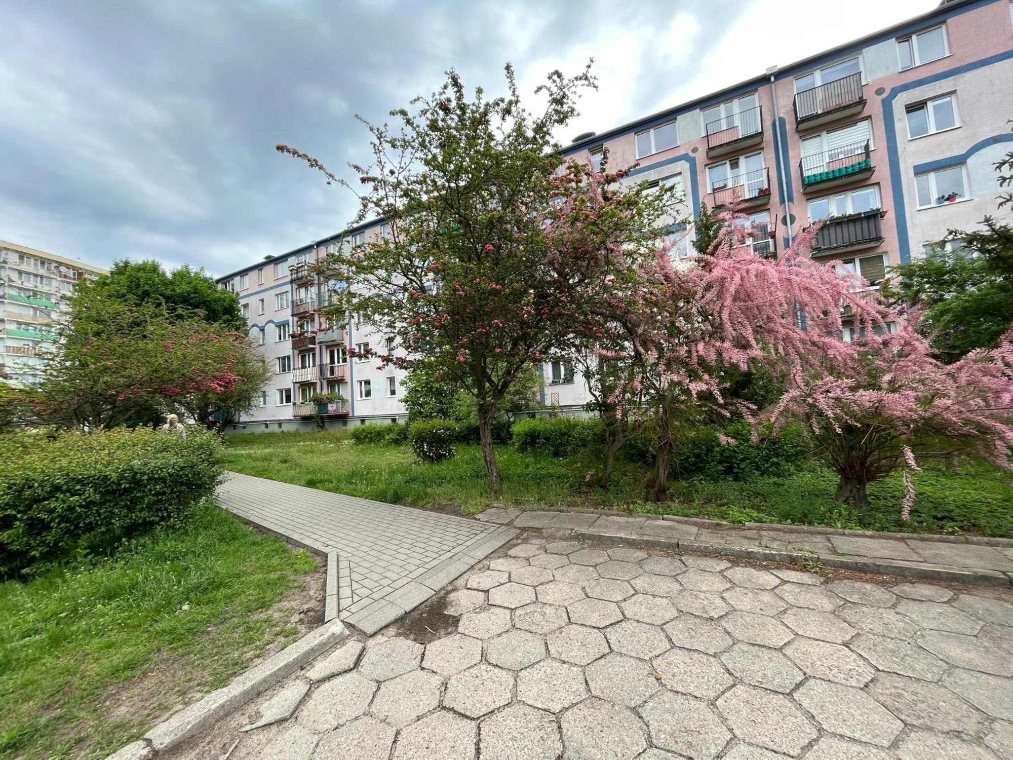 Apartament Wiewiorka Lägenhet Gdańsk Exteriör bild